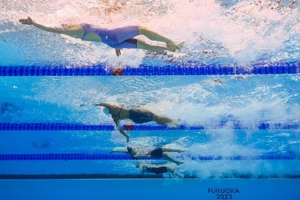 才不足的主, GVFyw, 能会由于体 才不足的主, GVFyw, 能会由于体